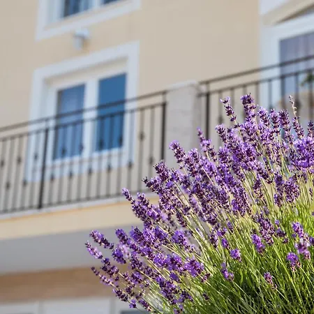 Guest house Casa Scardona Skradin