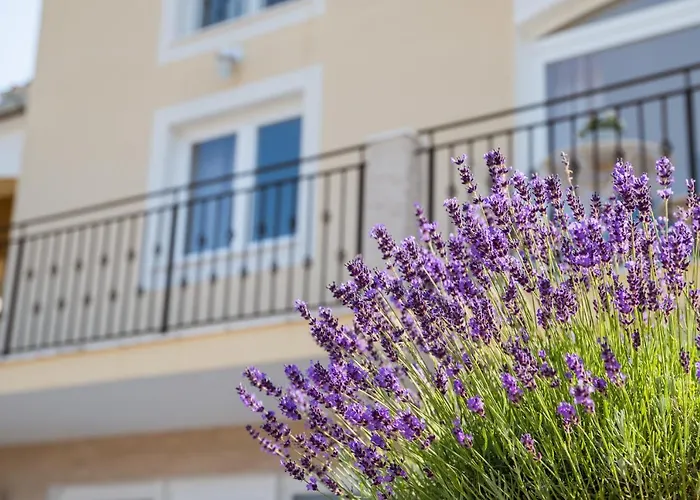 Pensionat Casa Scardona Skradin